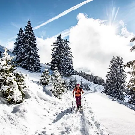 Alpage Aga13 View & Mountain 3 Pers Apartment Chatel